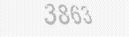 Visual security code — type the characters shown in the image
