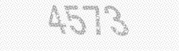 Visual security code — type the characters shown in the image